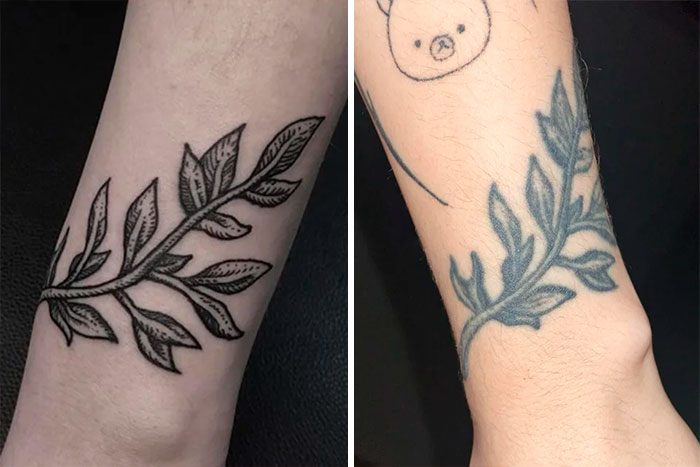 Aged tattoos showing fading and blurring over time with leaf design.