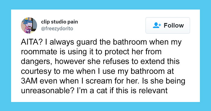 This Hilarious Twitter Thread Has Cats Asking If They’re Being Unreasonable