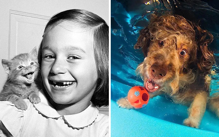 A Selection Of The Most Striking Images Of The Animal Kingdom For A Bit Of Entertainment And Giggles (30 New Pics)