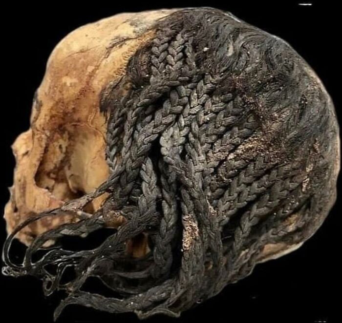 Esta cabeza egipcia conserva un peinado de hace 3.300 años