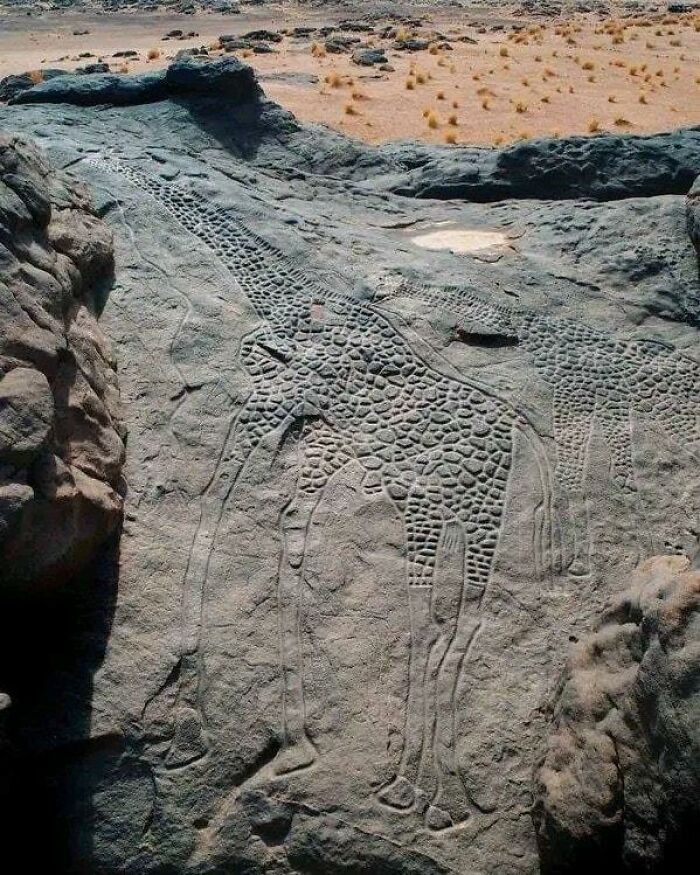 Located In Air Massif, Niger Are Two Of The Biggest Animal Rock Petroglyphs In The World, Called The Dabous Giraffes, Dated 8000 BC