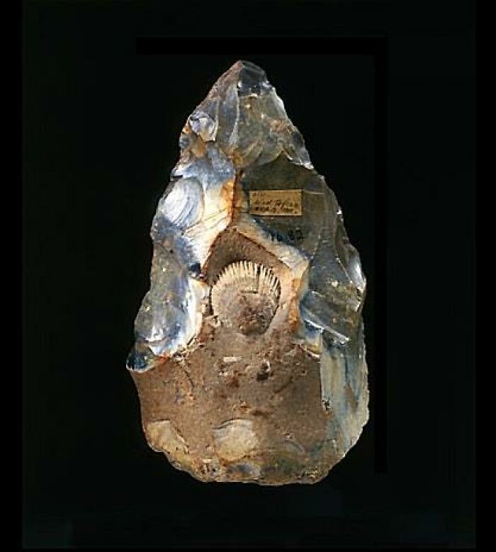 A Flint Handaxe Knapped Around A Fossil Shell Made By An Archaic Hominin, West Tofts, Norfolk, England, CA. 500,000-300,000 Before Present