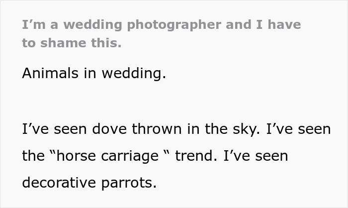 People Online Are Applauding This Wedding Photographer’s Views On Live Animal Use During Celebrations