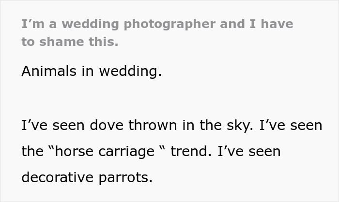 People Online Are Applauding This Wedding Photographer’s Views On Live Animal Use During Celebrations People Online Are Applauding This Wedding Photographer’s Views On Live Animal Use During Celebrations