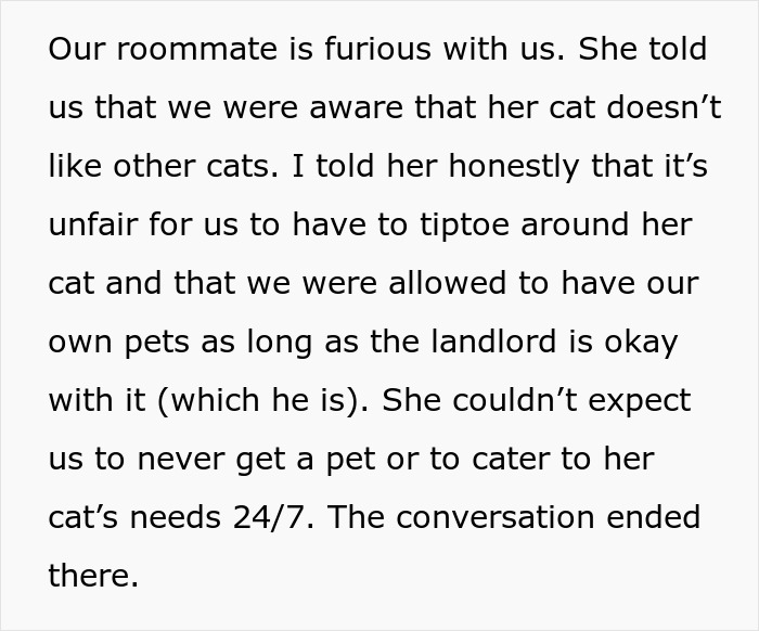 Woman Thinks It's Unfair She Has To Tiptoe Around Roommate's Cat's "Asocial" Needs, Starts A Feud After Adopting Her Own Kitten