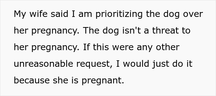 Wife Says Husband Is Prioritizing The Dog Over Her Pregnancy After He Refuses To Get Rid Of It And Break His Son's Heart