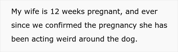 Wife Says Husband Is Prioritizing The Dog Over Her Pregnancy After He Refuses To Get Rid Of It And Break His Son's Heart Wife Says Husband Is Prioritizing The Dog Over Her Pregnancy After He Refuses To Get Rid Of It And Break His Son's Heart