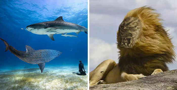 30 Terrible Tattoos That Look Even Worse When Compared To The Originals, As Shared On This Online Group