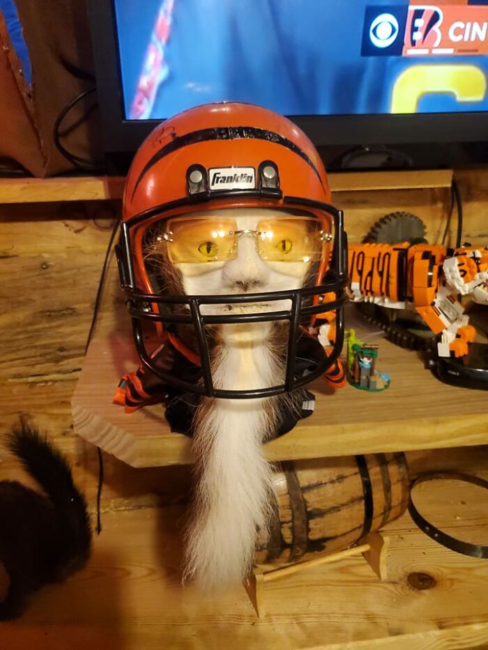 Assquatch Is Alive And Well In Who Dey Nation!