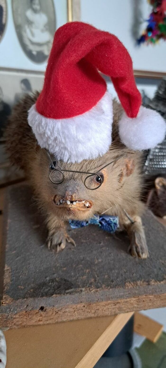 A Very Disgruntled Tiny Hogfather!