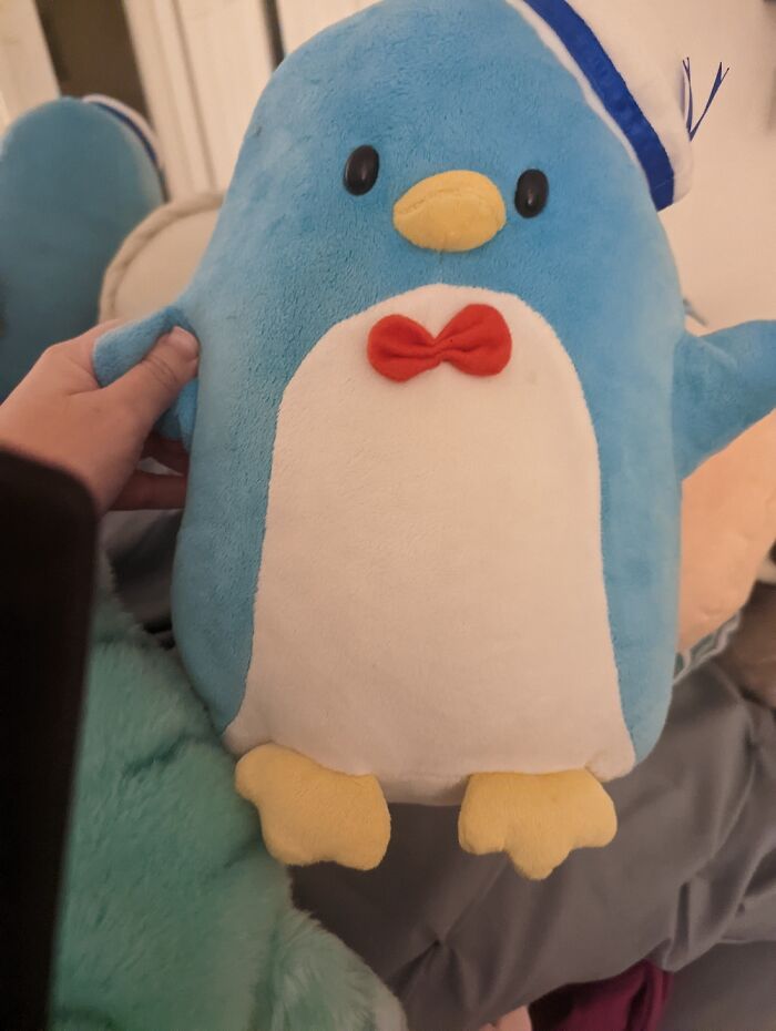 Tuxedo Sam! Ive Had Him For Almost 10 Years