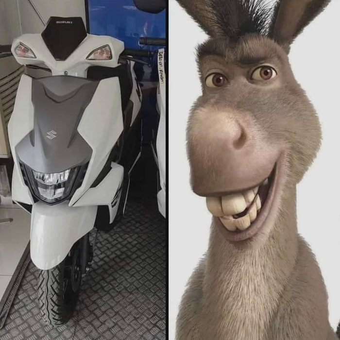 Donkey From Shrek and the same looking scooter 