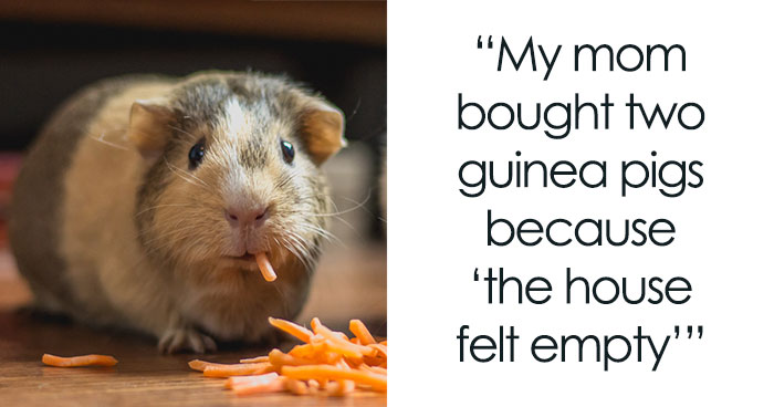 65 People Shared The Things That Surprised Them The Most After Their Kids Moved Out