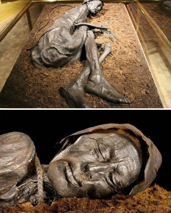 El "hombre de Tollund" es un cuerpo de un pantano de 2.400 años de antigüedad y víctima de un sacrificio humano de la Edad de Hierro, hallado en Bjældskovdal, Dinamarca.