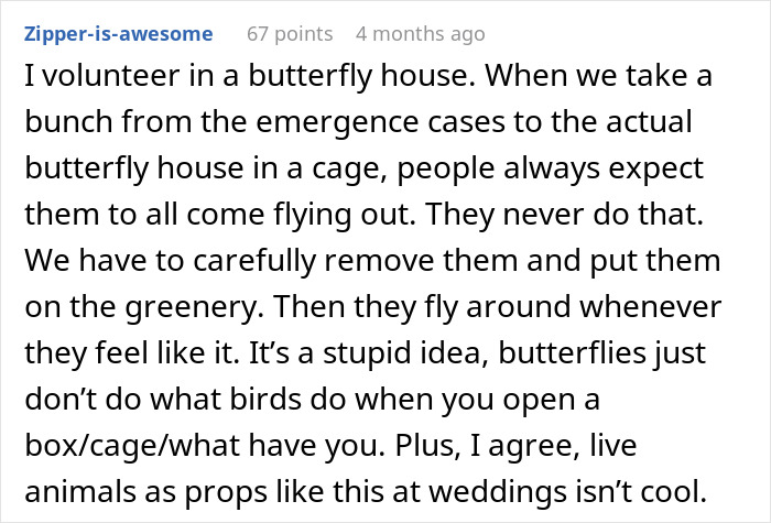 People Online Are Applauding This Wedding Photographer’s Views On Live Animal Use During Celebrations People Online Are Applauding This Wedding Photographer’s Views On Live Animal Use During Celebrations