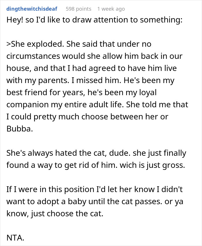 "Her Or The Cat": Man Asks For Advice After Wife Who Went Through Stillbirth Refuses To Allow His Beloved Pet Back In The House