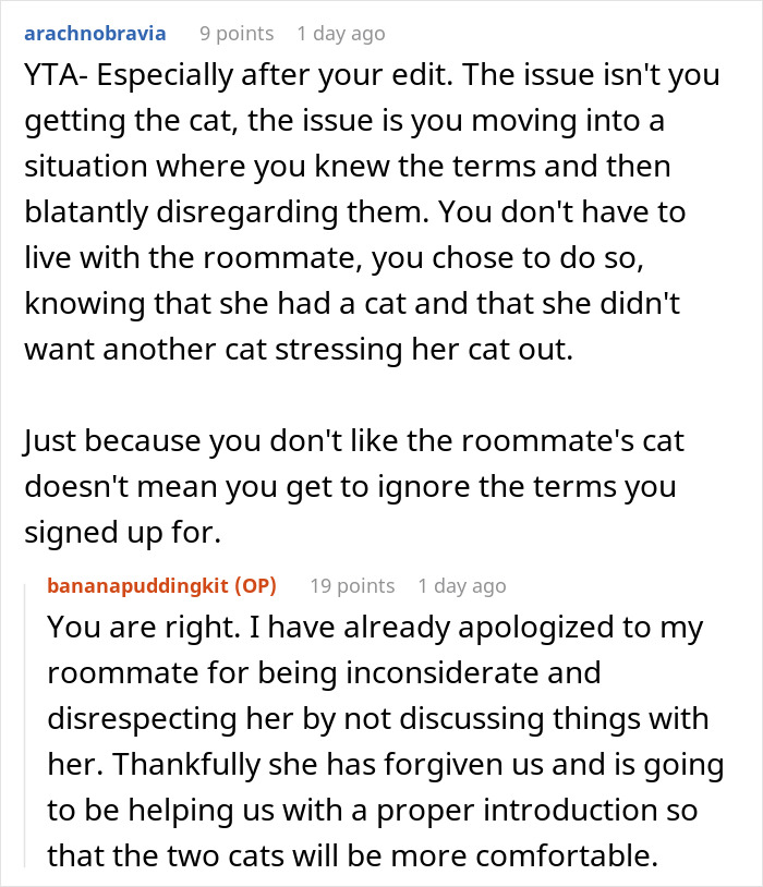 Woman Thinks It's Unfair She Has To Tiptoe Around Roommate's Cat's "Asocial" Needs, Starts A Feud After Adopting Her Own Kitten
