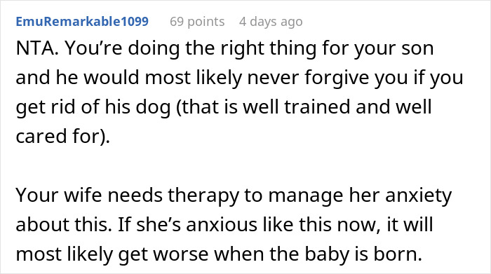 Wife Says Husband Is Prioritizing The Dog Over Her Pregnancy After He Refuses To Get Rid Of It And Break His Son's Heart