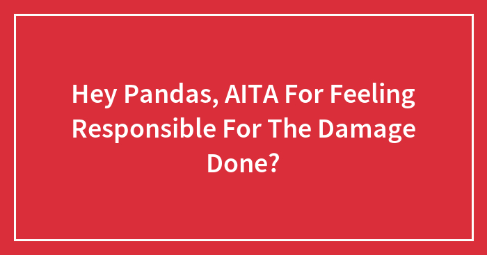 Hey Pandas, AITA For Feeling Responsible For The Damage Done? (Closed)