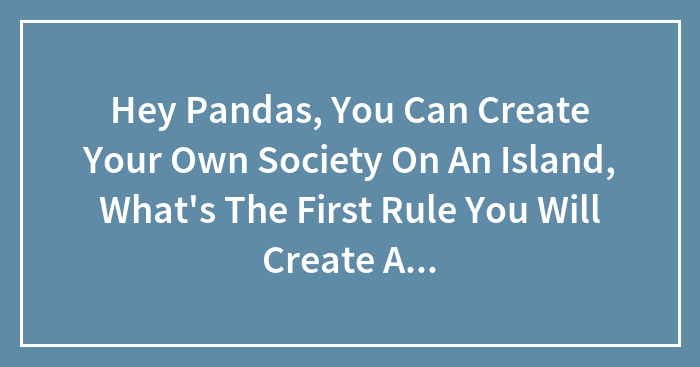 Hey Pandas, You Can Create Your Own Society On An Island, What’s The First Rule You Will Create And Why?