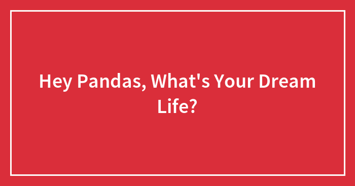 Hey Pandas, What’s Your Dream Life? (Closed)