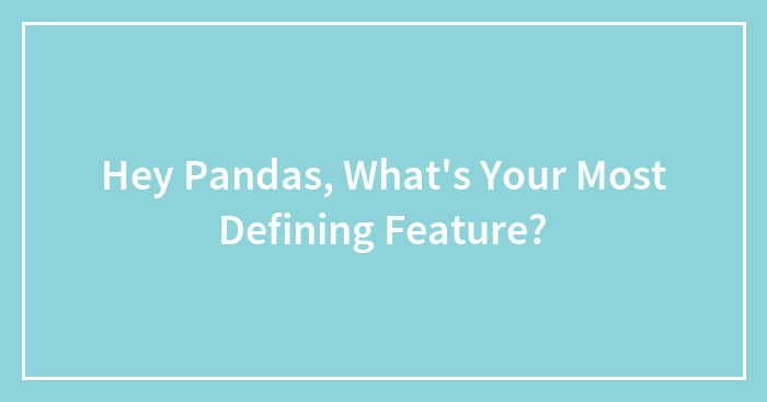 Hey Pandas, What’s Your Most Defining Feature? (Closed)