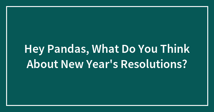 Hey Pandas, What Do You Think About New Year’s Resolutions? (Closed)