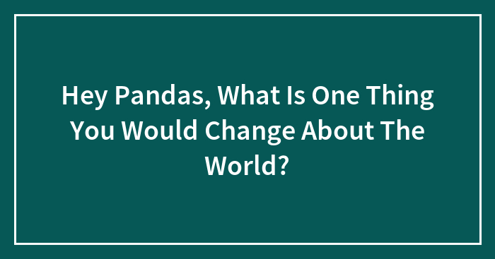 Hey Pandas, What Is One Thing You Would Change About The World? (Closed)