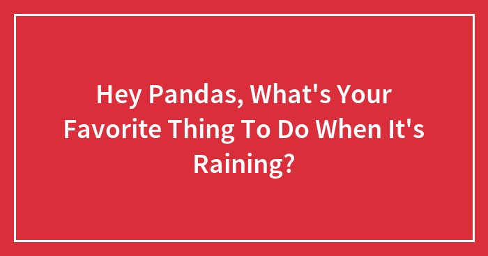 Hey Pandas, What’s Your Favorite Thing To Do When It’s Raining? (Closed)