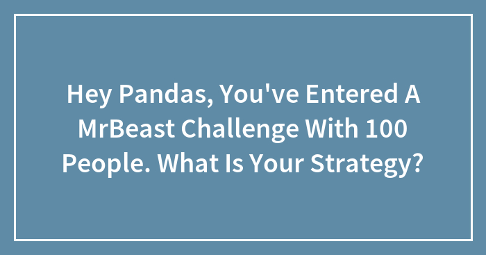 Hey Pandas, You’ve Entered A MrBeast Challenge With 100 People. What Is Your Strategy? (Closed)