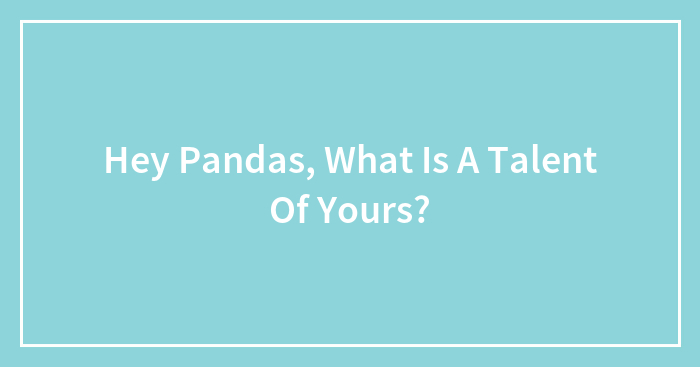 Hey Pandas, What Is A Talent Of Yours? (Closed)