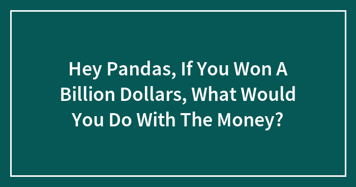 Hey Pandas, If You Won A Billion Dollars, What Would You Do With The Money? (Closed)