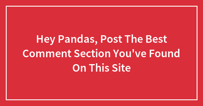 Hey Pandas, Post The Best Comment Section You’ve Found On This Site