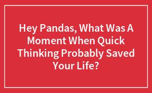 Hey Pandas, What Was A Moment When Quick Thinking Probably Saved Your Life?