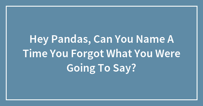 Hey Pandas, Can You Name A Time You Forgot What You Were Going To Say?