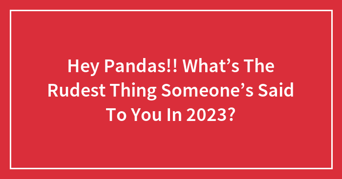 Hey Pandas!! What’s The Rudest Thing Someone’s Said To You In 2023?