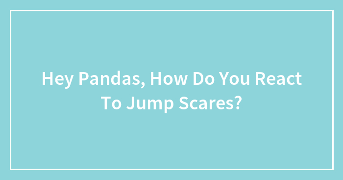 Hey Pandas, How Do You React To Jump Scares?