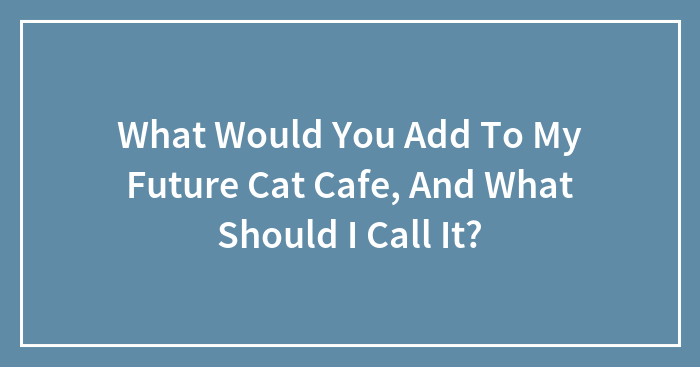 What Would You Add To My Future Cat Cafe, And What Should I Call It?
