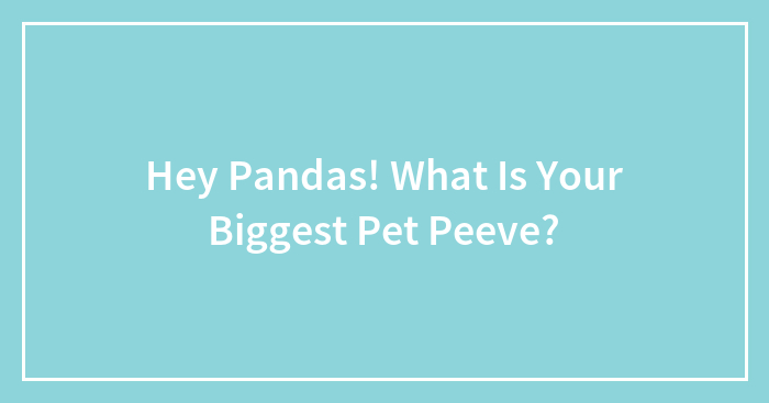 Hey Pandas! What Is Your Biggest Pet Peeve?