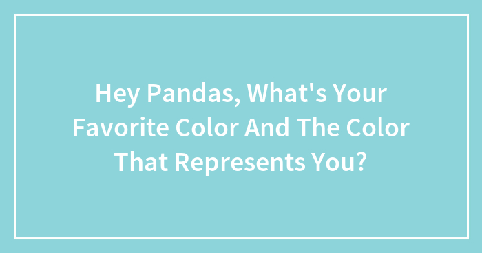 Hey Pandas, What’s Your Favorite Color And The Color That Represents You? (Closed)