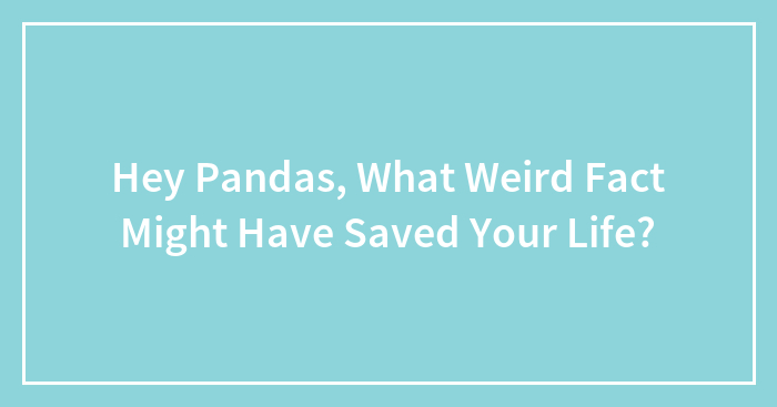 Hey Pandas, What Weird Fact Might Have Saved Your Life? (Closed)