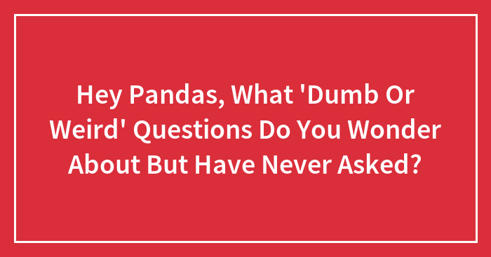 Hey Pandas, What ‘Dumb Or Weird’ Questions Do You Wonder About But Have Never Asked? (Closed)