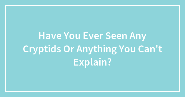 Hey Pandas, Have You Ever Seen Any Cryptids Or Anything You Can’t Explain? (Closed)