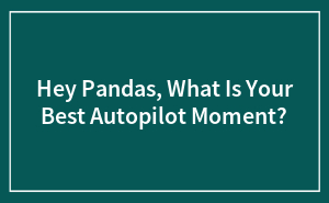 Hey Pandas, What Is Your Best Autopilot Moment?