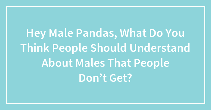 Hey Male Pandas, What Do You Think People Should Understand About Males That People Don’t Get?