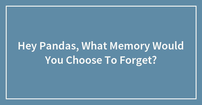 Hey Pandas, What Memory Would You Choose To Forget?