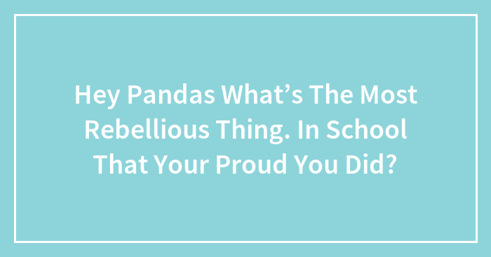 Hey Pandas What’s The Most Rebellious Thing. In School That Your Proud You Did?