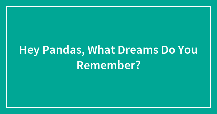 Hey Pandas, What Dreams Do You Remember?