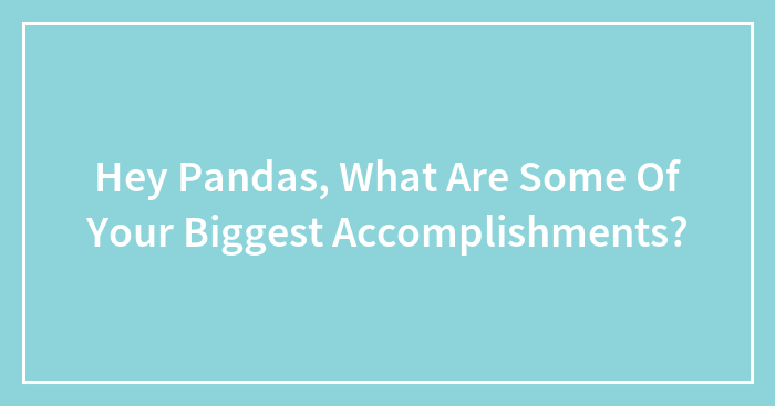 Hey Pandas, What Are Some Of Your Biggest Accomplishments?
