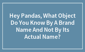 Hey Pandas, What Object Do You Know By A Brand Name And Not By Its Actual Name?